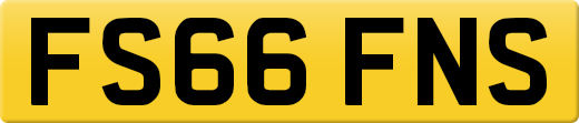 FS66FNS